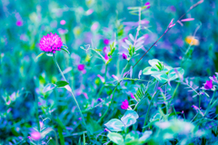 草花