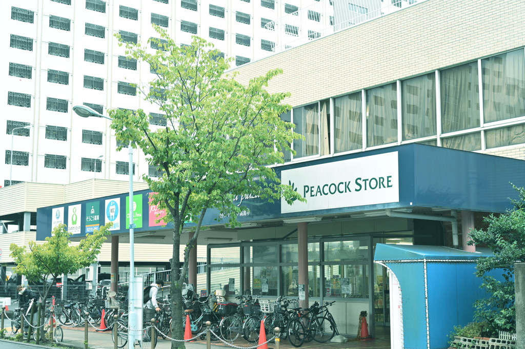 PEACOCK STORE