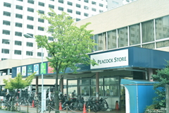 PEACOCK STORE