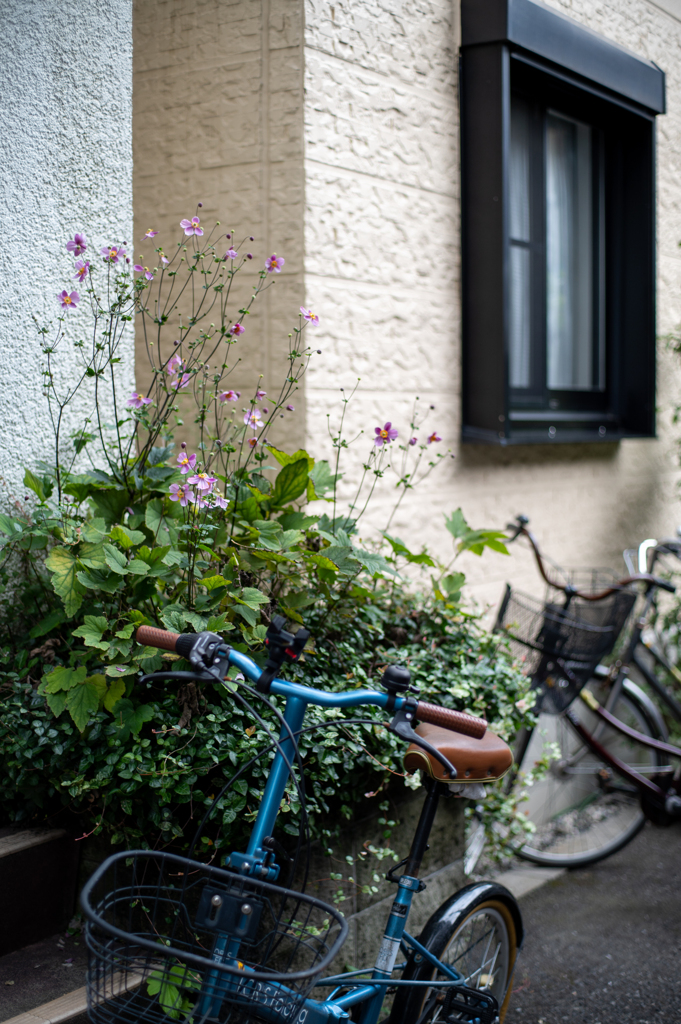 花と自転車