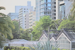 温室