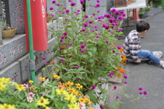 花壇と子供
