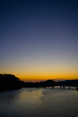 夕焼けと鳥