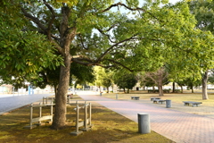 公園２