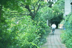小道