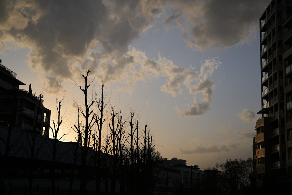夕暮れ
