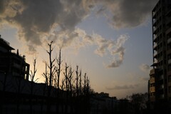夕暮れ