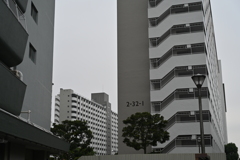 団地