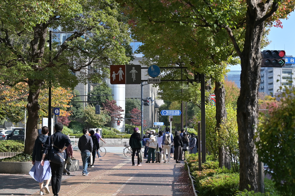 白山通り