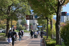 白山通り
