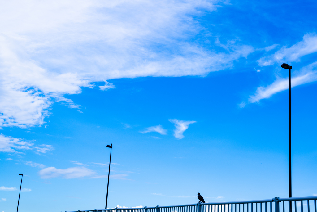 青空