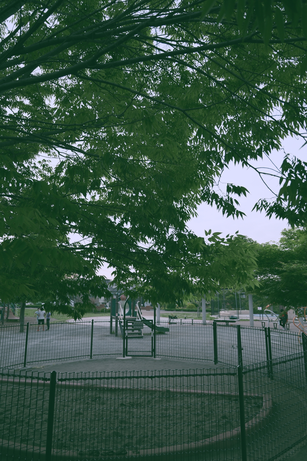 公園