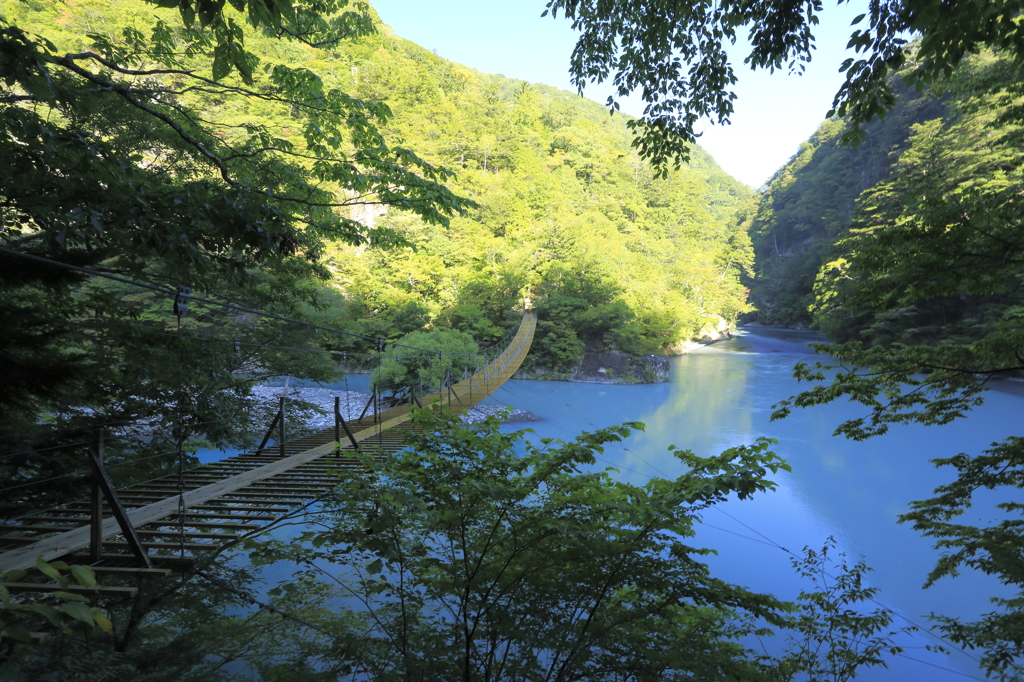 夢の吊り橋２