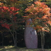 紅葉２