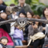 仕事中です