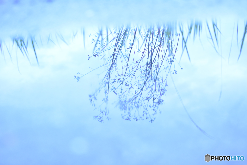 逢瀬
