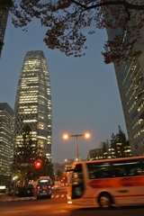 夜のはじまり