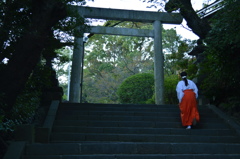 jinnja