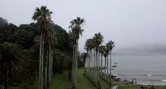 朝もやの弓ヶ浜