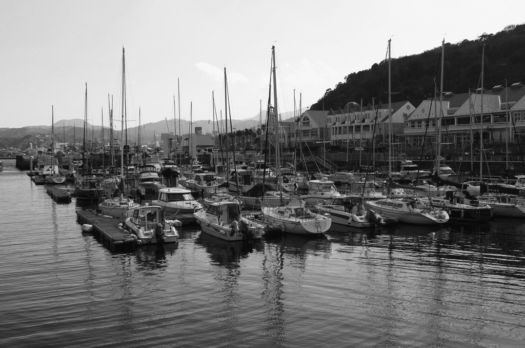 yacht harbor