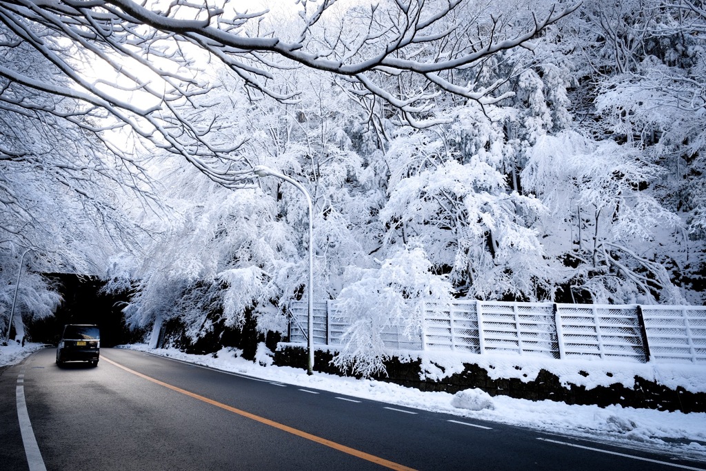 雪の天城路②