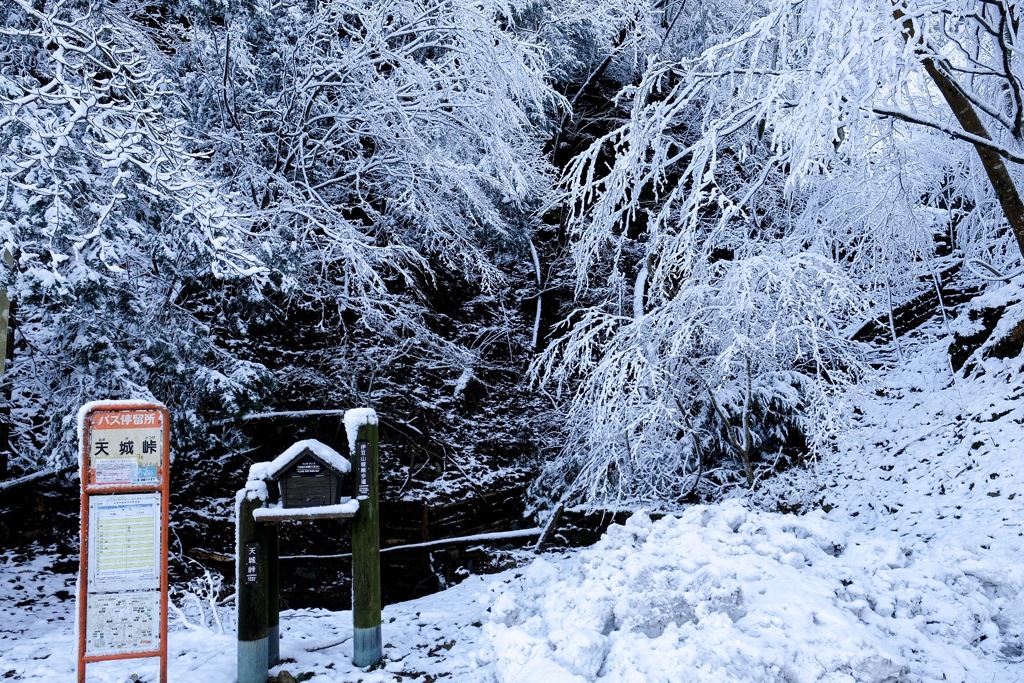 雪の天城路