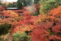 京都 彩り