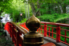 修善寺さんぽ②
