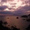 紫雲