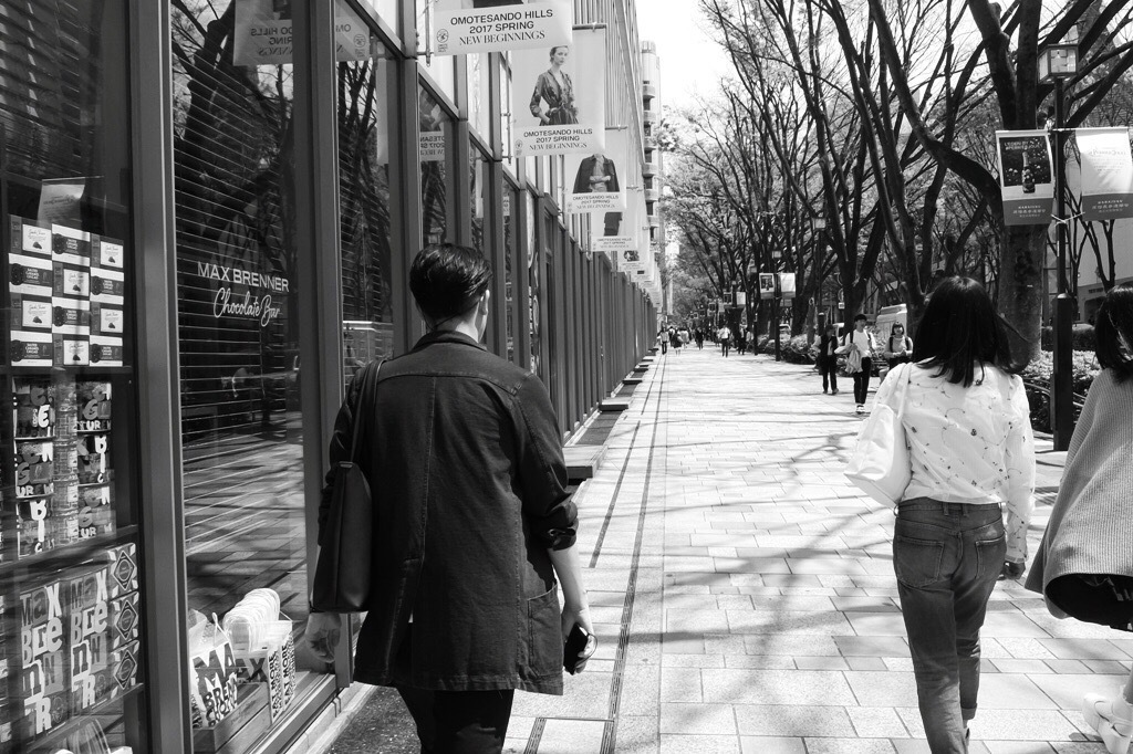 街路樹 ②