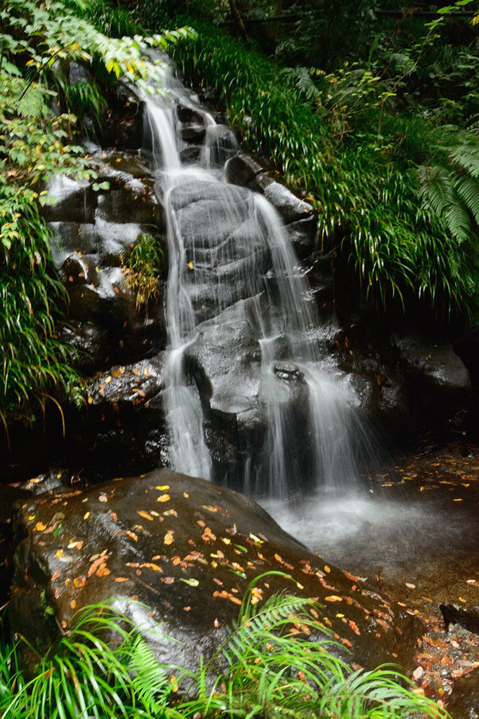 河津　七滝