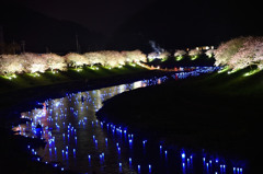 みなみの夜桜景　⑨