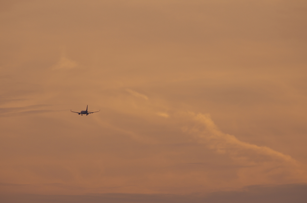 飛行機