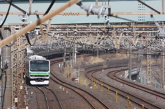 E231系＠柏