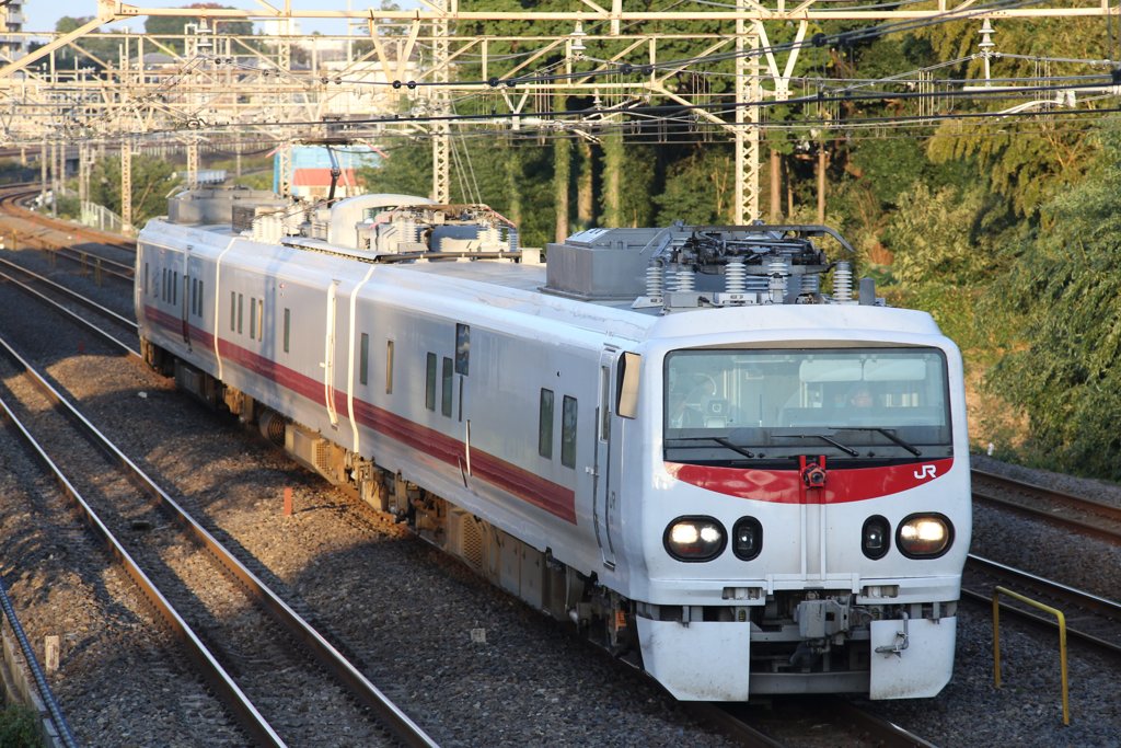 491系（East i-E）＠柏