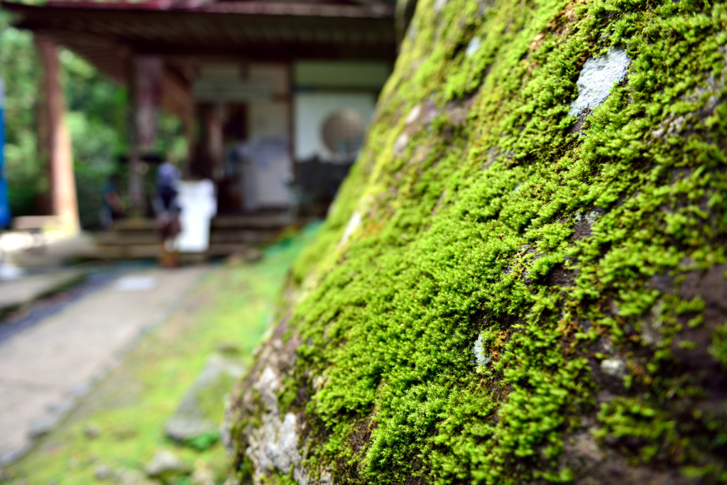 三徳山投入堂