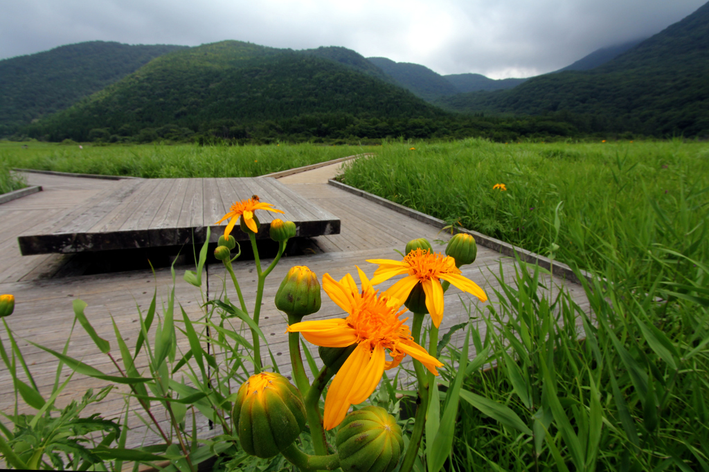 由布岳