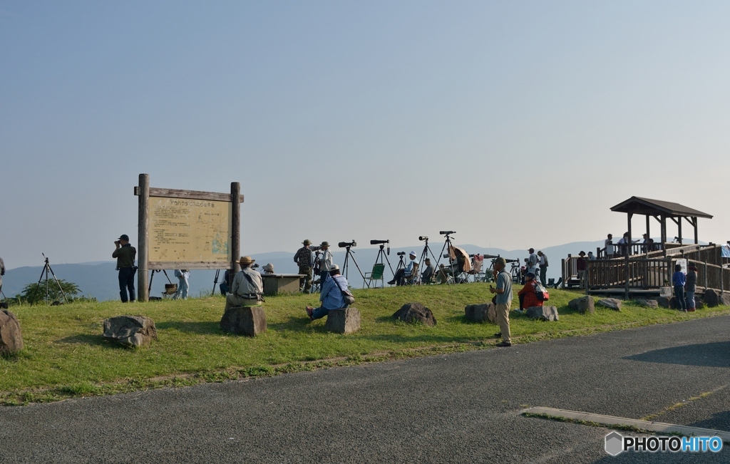 並ぶ大砲の光景