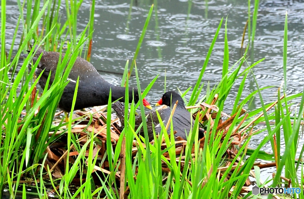 アレレのレ(;^ω^)