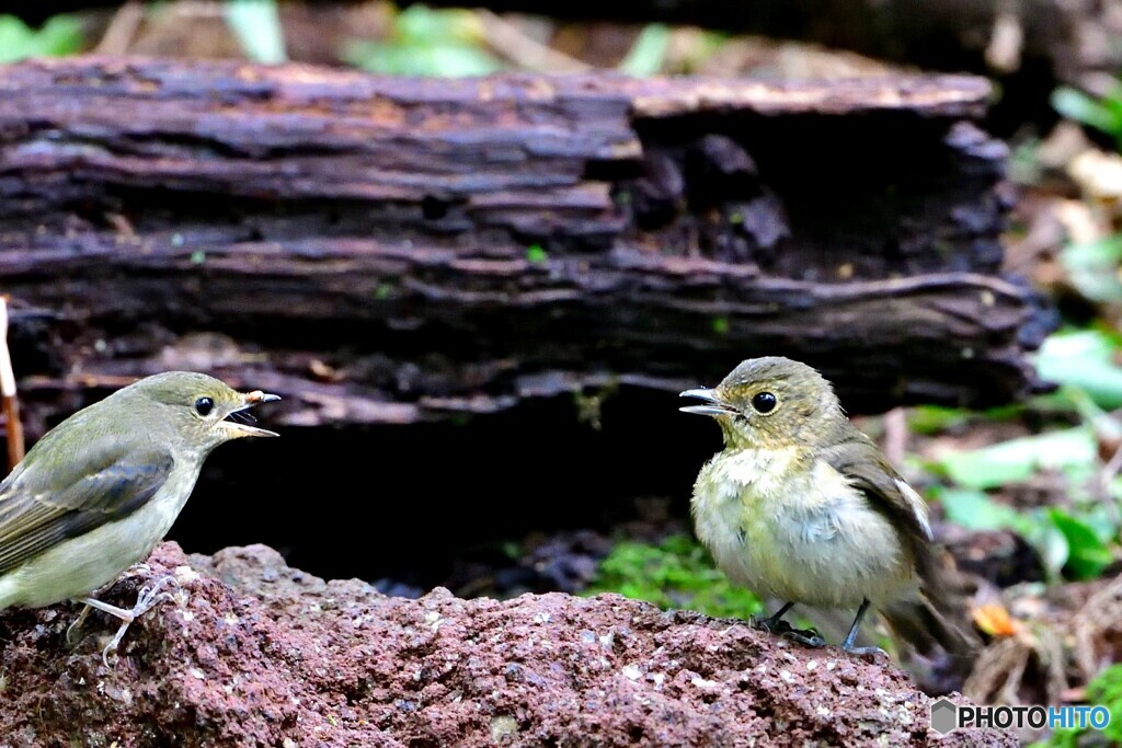 何か云いあってましたがね～(;^ω^)