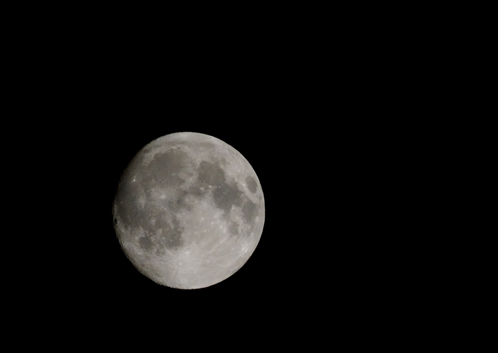 夜半の月