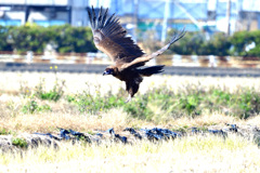 ジャンプ