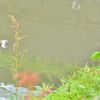 ～夢の中へ～