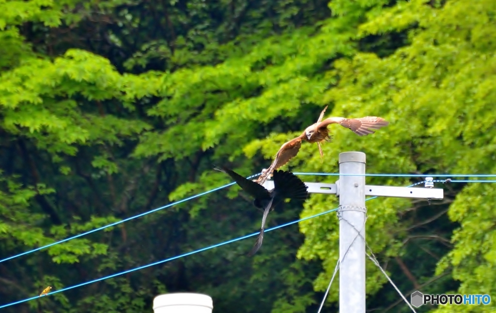 諍い止まず(;'∀')