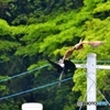 諍い止まず(;'∀')