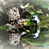 水鏡