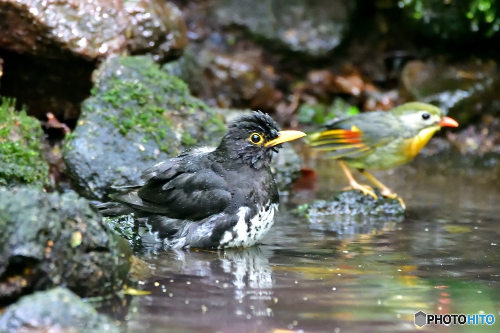 ツーショット①