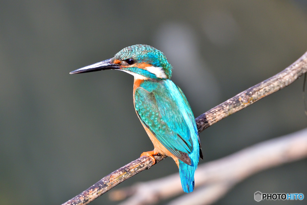 掘ってまよね～(;^ω^)