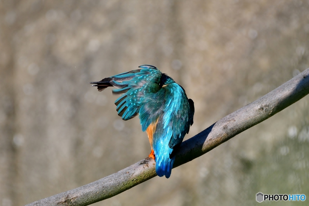朝日が眩しい訳では～