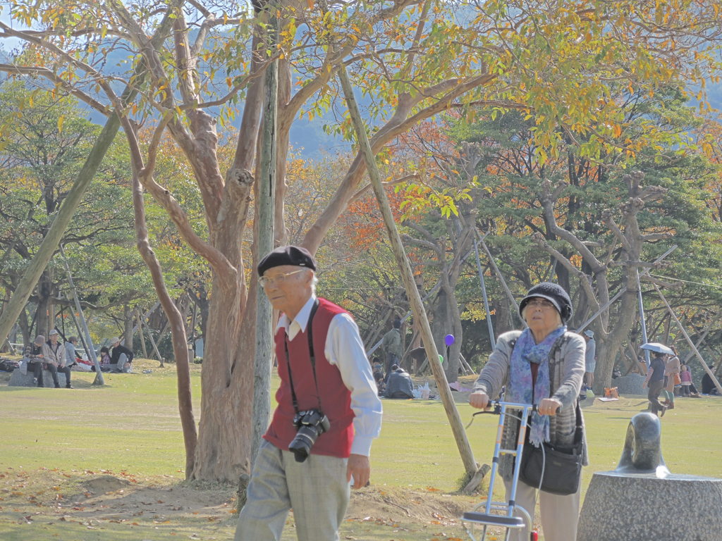 良い夫婦の日